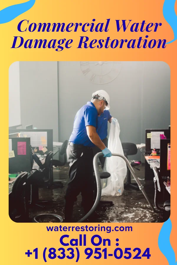 Commercial Water Damage Restoration in Davis, WV