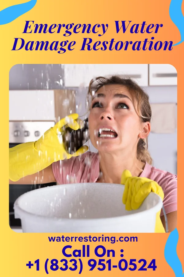 Emergency Water Damage Restoration in Davis, WV