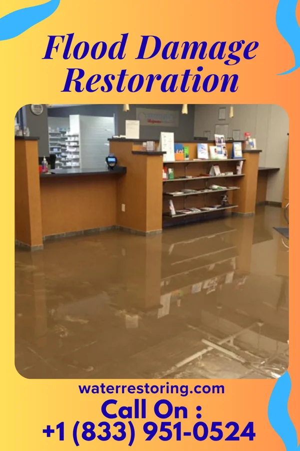Flood Damage Restoration in Davis, WV