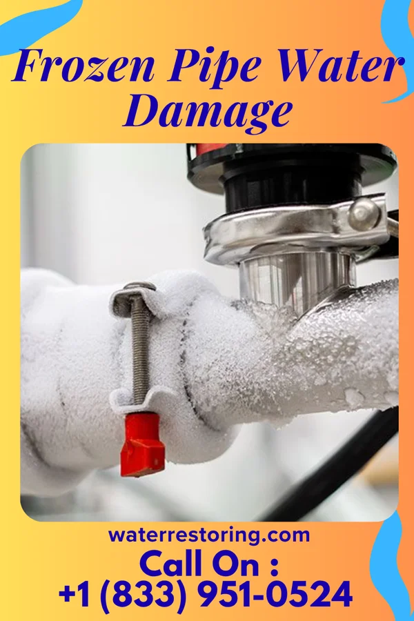 Frozen Pipe Water Damage in Davis, WV