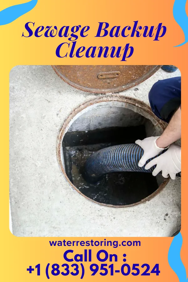 Sewage Backup Cleanup in Davis, WV