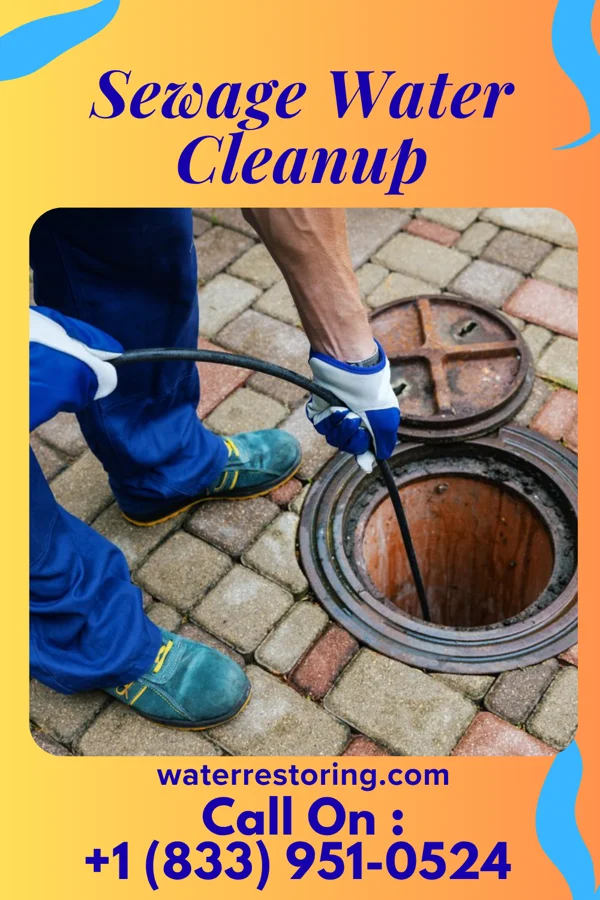Sewage Water Cleanup in Davis, WV