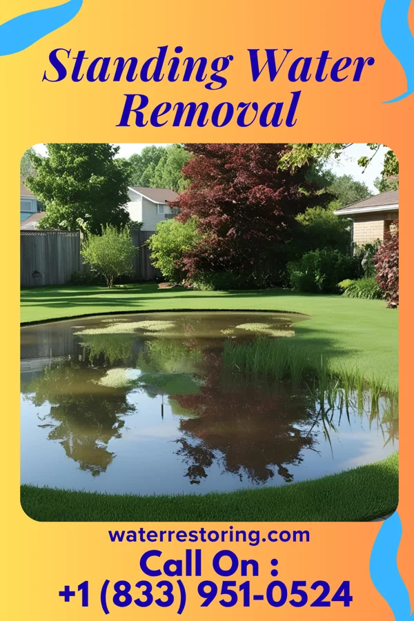 Standing Water Removal in Davis, WV